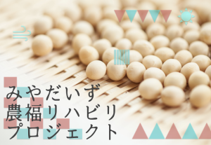 みやだいず農福リハビリプロジェクト